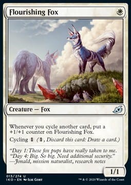 Flourishing Fox.jpg