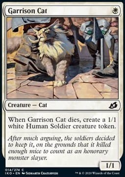 Garrison Cat.jpg