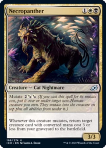 Necropanther__06859.1586380155.jpg
