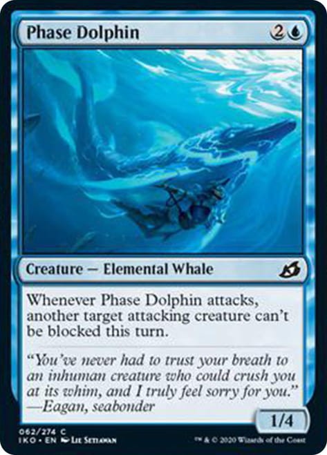 PhaseDolphin__55129.1585937473.jpg