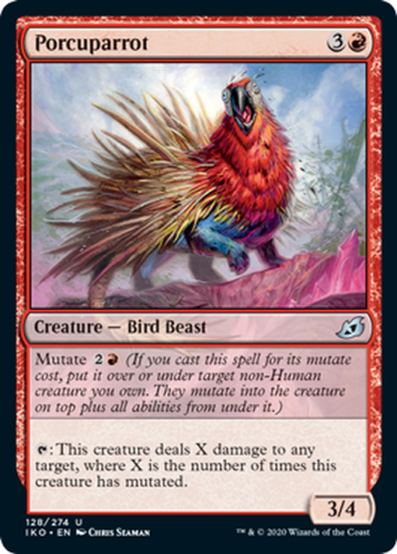 Porcuparrot__08980.1586533069.png