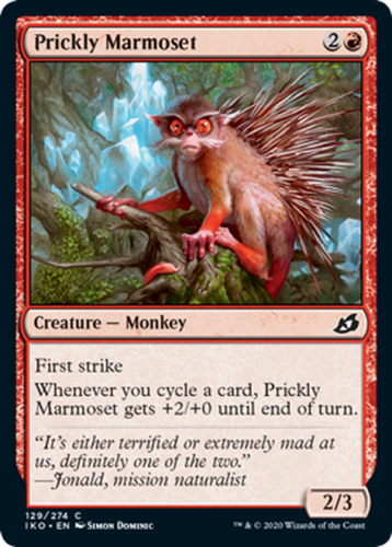 PricklyMarmoset__30557.1586532946.png