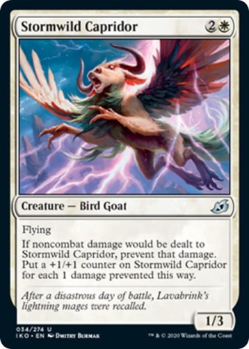 StormwildCapridor__25335.1586190650.jpg