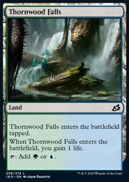 Thornwood Falls.jpg