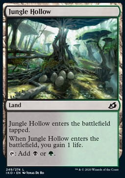 Jungle Hollow.jpg