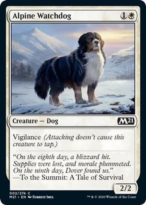 AlpineWatchdog__71328.1591798926.jpg