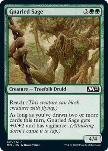GnarledSage__16239.1592321367.jpg