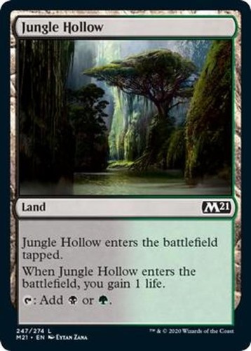 JungleHollow__13483.1592318637.jpg