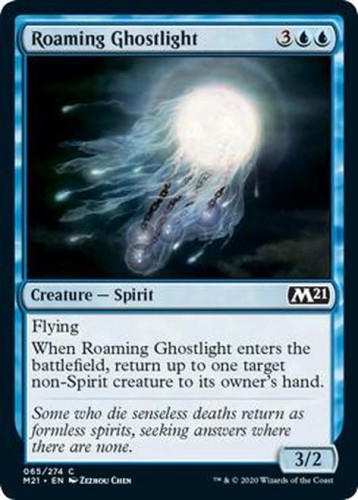 RoamingGhostlight__29056.1592320191.jpg