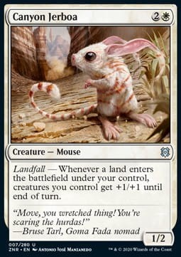 Canyon Jerboa.jpg