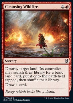 Cleansing Wildfire.jpg