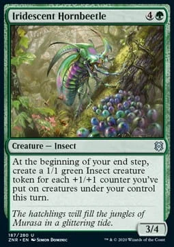 Iridescent Hornbeetle.jpg