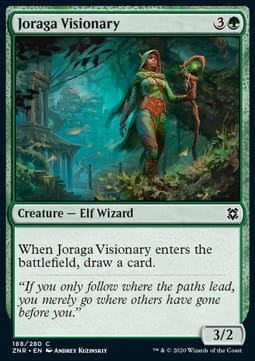 Joraga Visionary.jpg