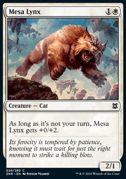Mesa Lynx.jpg