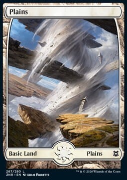 494864.jpg