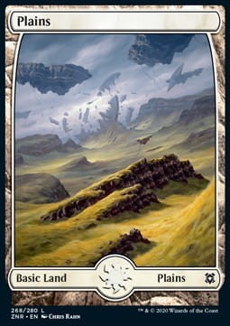 494864.jpg