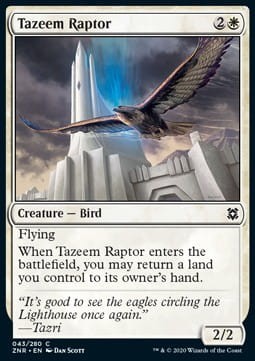 Tazeem Raptor.jpg