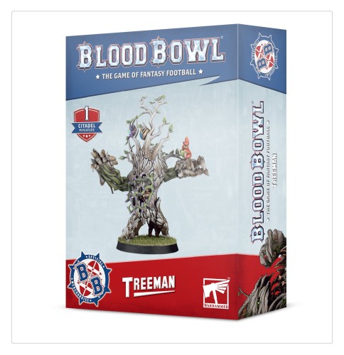 https___trade.games-workshop.com_assets_2020_11_TR-202-11-99220907003-Blood Bowl Necromantic Team Pitch.jpg