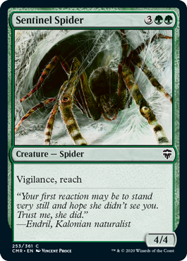 Sentinel Spider.png