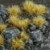 pol_ps_Dry-Tuft-6mm-19476_2.jpg