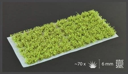 pol_pm_Green-Shrub-19072_1.jpg