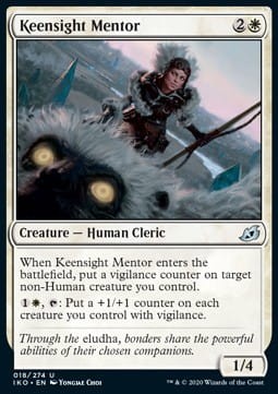 Keensight Mentor.jpg