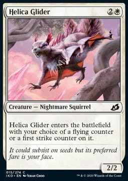 Helica Glider.jpg