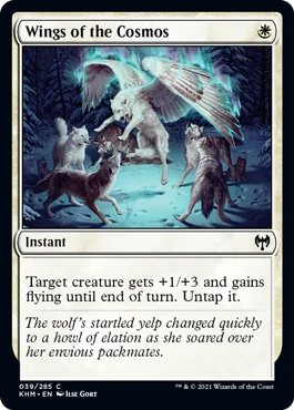 Wings of the Cosmos.png