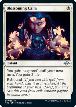 Blossoming Calm.png