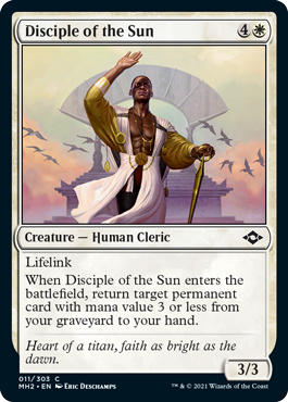 Disciple of the Sun.png