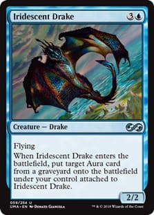 IridescentDrake.jpg