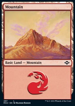 566178.jpg