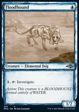 566178.jpg