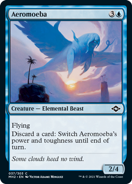 Aeromoeba.png
