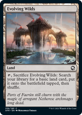 Evolving Wilds.png