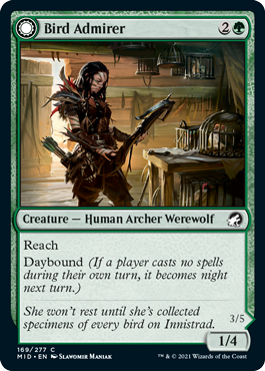 Bird Admirer1.png