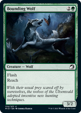 Bounding Wolf.png