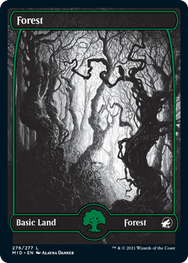 Forest 276.png