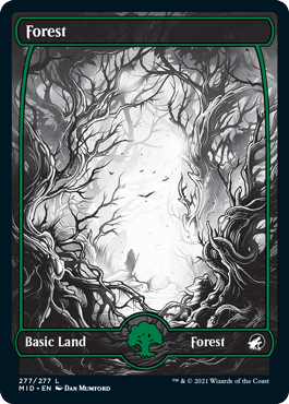 Forest 277.png