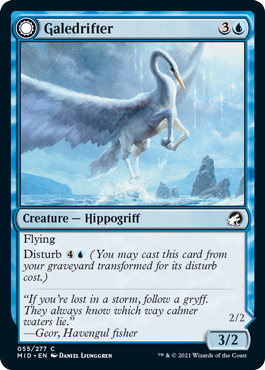 Galedrifter1.png