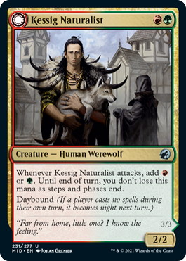 Kessig Naturalist1.png