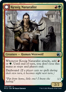 Kessig Naturalist1.png