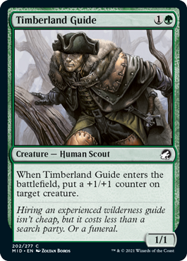 Timberland Guide.png