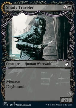 Shady Traveler.jpg