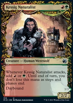 Kessig Naturalist.jpg