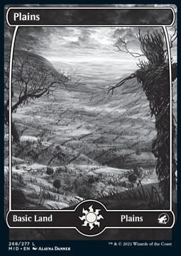 Plains 268- foil.jpg