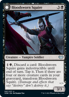 Bloodsworn Squire 1.png