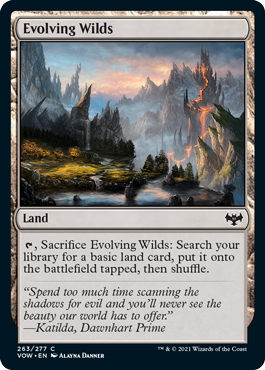 Evolving Wilds.png