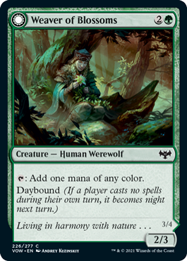 Weaver of Blossoms 1.png
