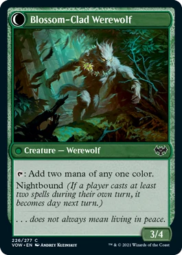 Weaver of Blossoms 2.png